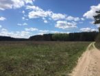 Одещина проти продажу української землі