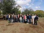 «Батьківщинівці» міста Южне організували висадку дерев у парку