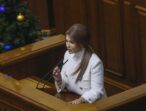 «Батьківщина» ініціює позачергове засідання Верховної Ради, присвячене питанням ФОПів